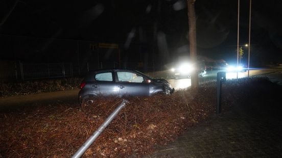 Bestuurder rijdt tegen boom en lantaarnpaal en wordt aangehouden