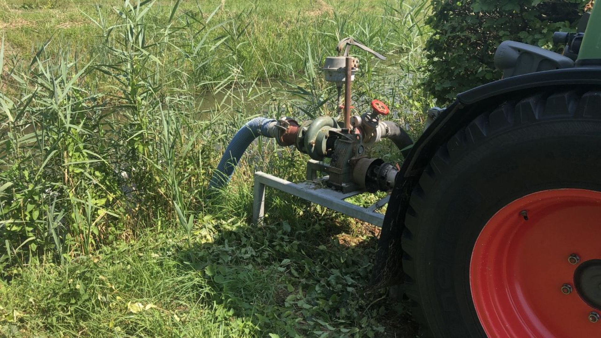 Waterschap stelt onttrekkingsverbod in voor Cittersgebieden vanwege grote droogte