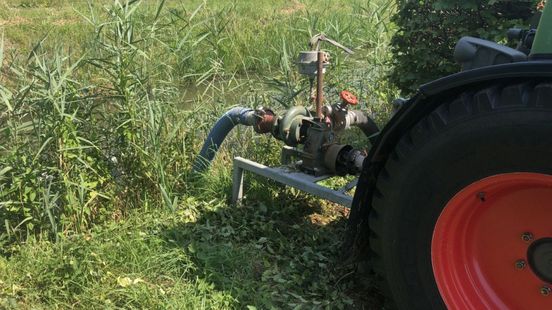 Waterschap stelt onttrekkingsverbod in voor Cittersgebieden vanwege grote droogte