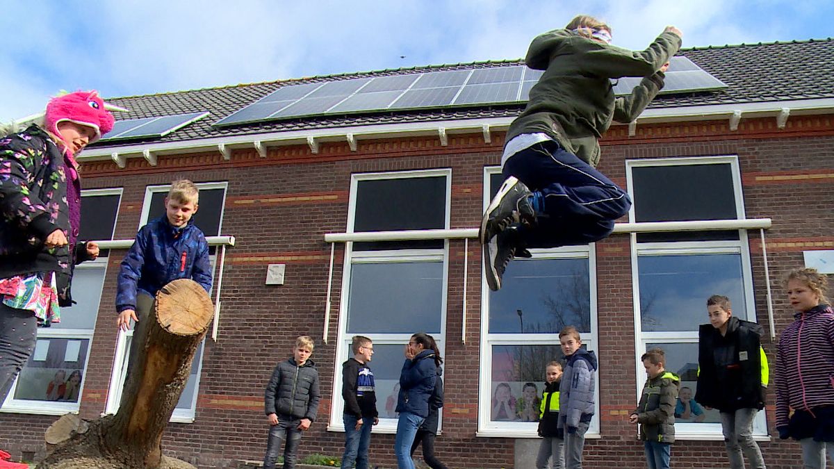 Op dit schoolplein hebben tegels plaatsgemaakt voor zand, gras en veel groen