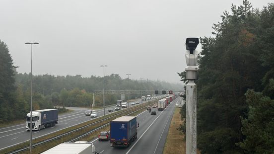 Spitsstrook A50 weken dicht door overhangende takken: 'We balen er zelf ook van'