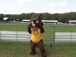 Norg haalt met mascotte Norgie oud icoon van stal