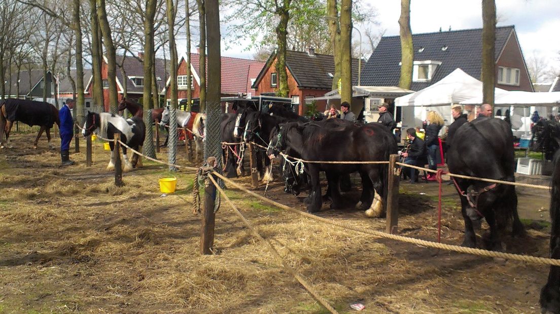 Zes stewards en drie plaatsvervangende marktmeesters houden toezicht op de paarden tijdens de markt
(Rechten: archief RTV Drenthe)