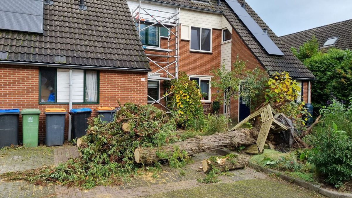 Ondanks 'toestemming' van brandweer, overnacht boom toch niet op woning in Schalkhaar