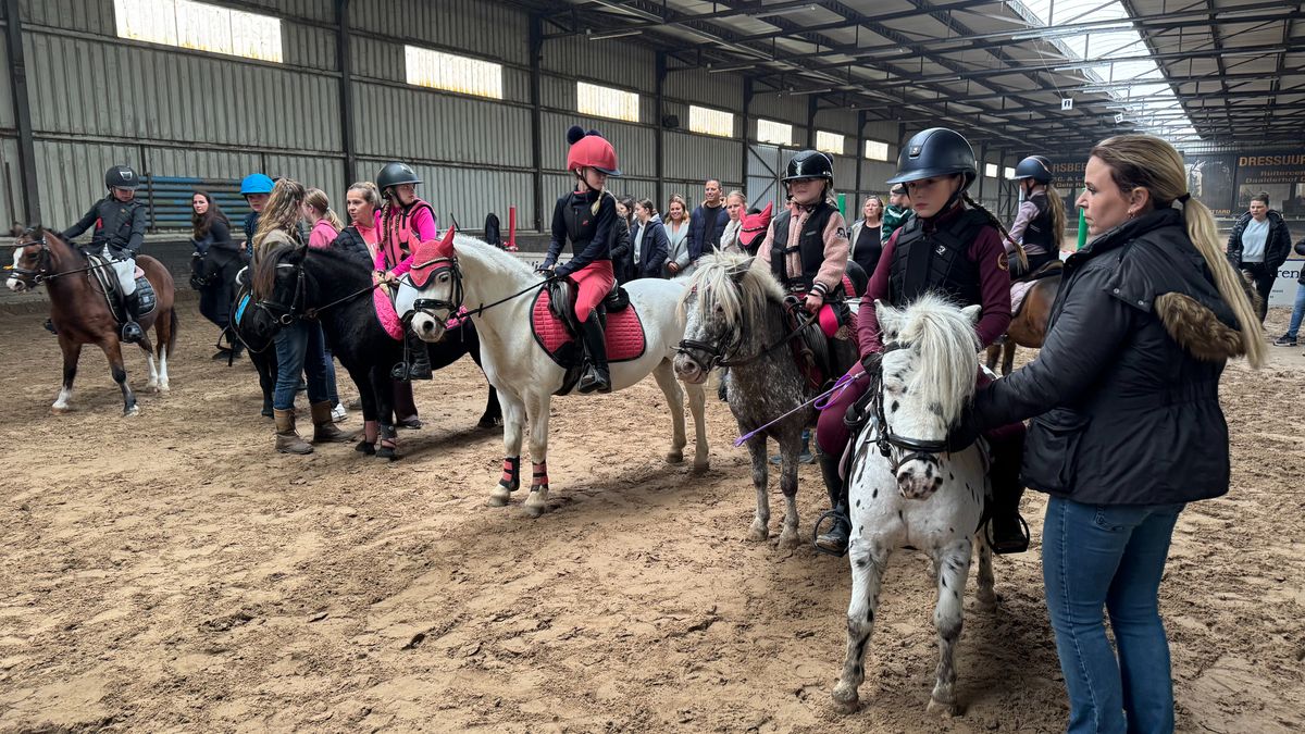 Razendsnelle pony's verdienen ticket voor Jumping Indoor Maastricht