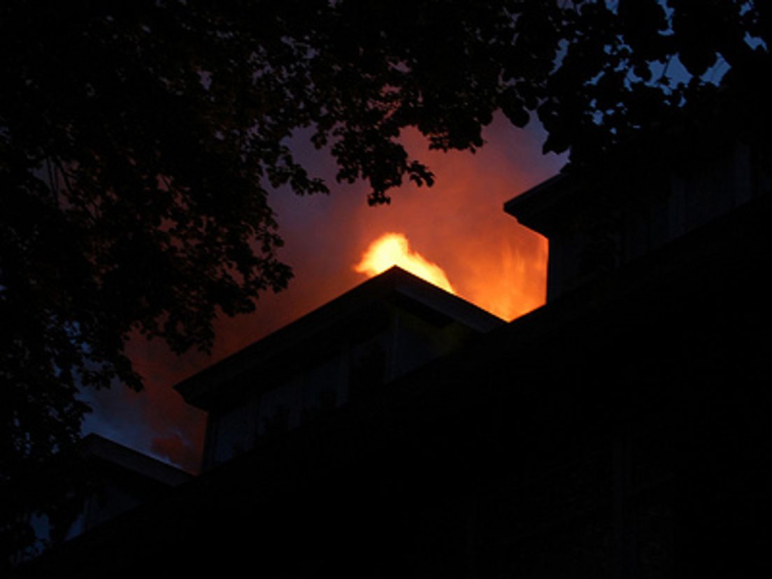 2010-brand0003.jpg
