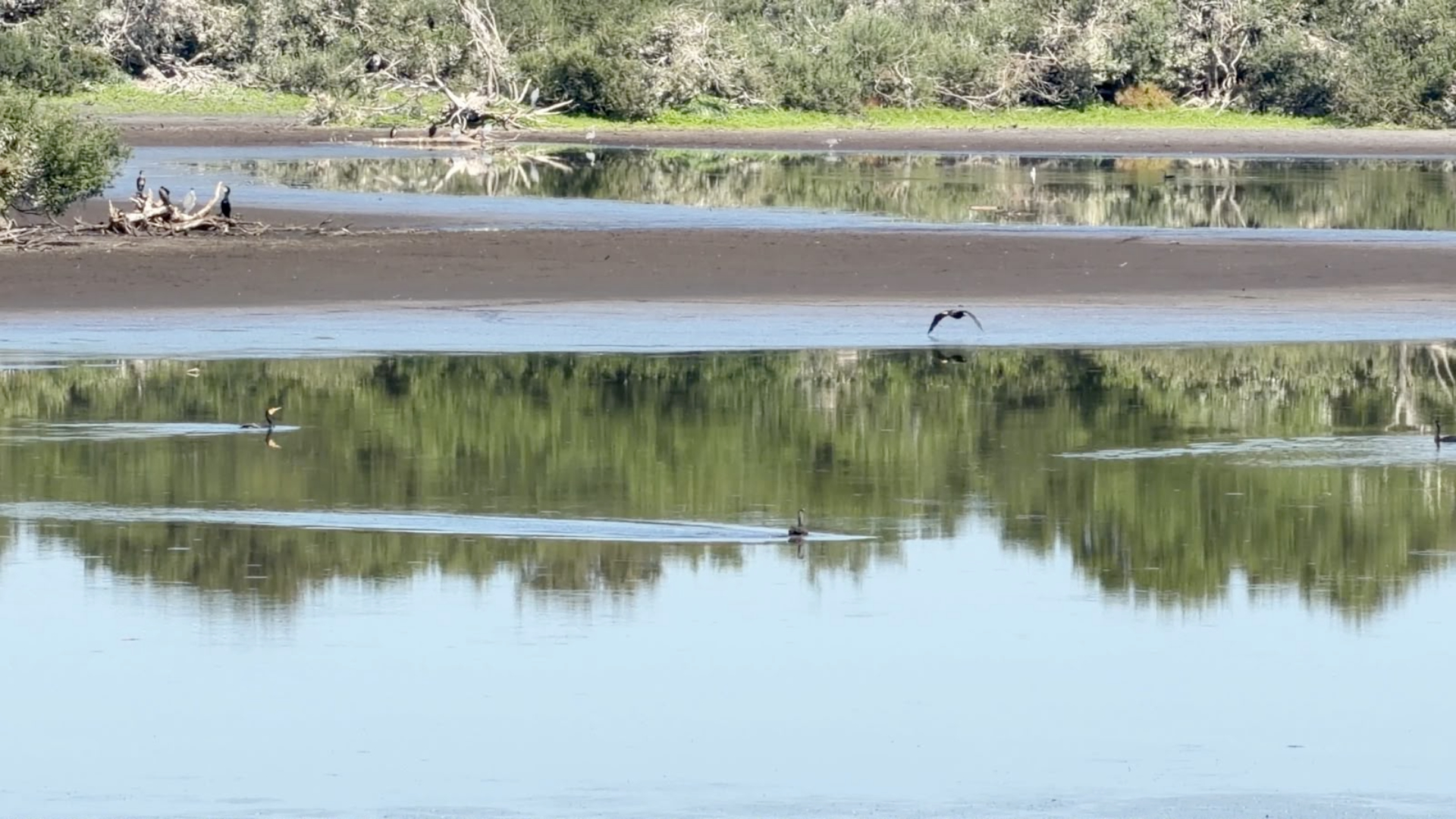 Door de aanhoudende droogte staat het Quackjeswater erg laag.