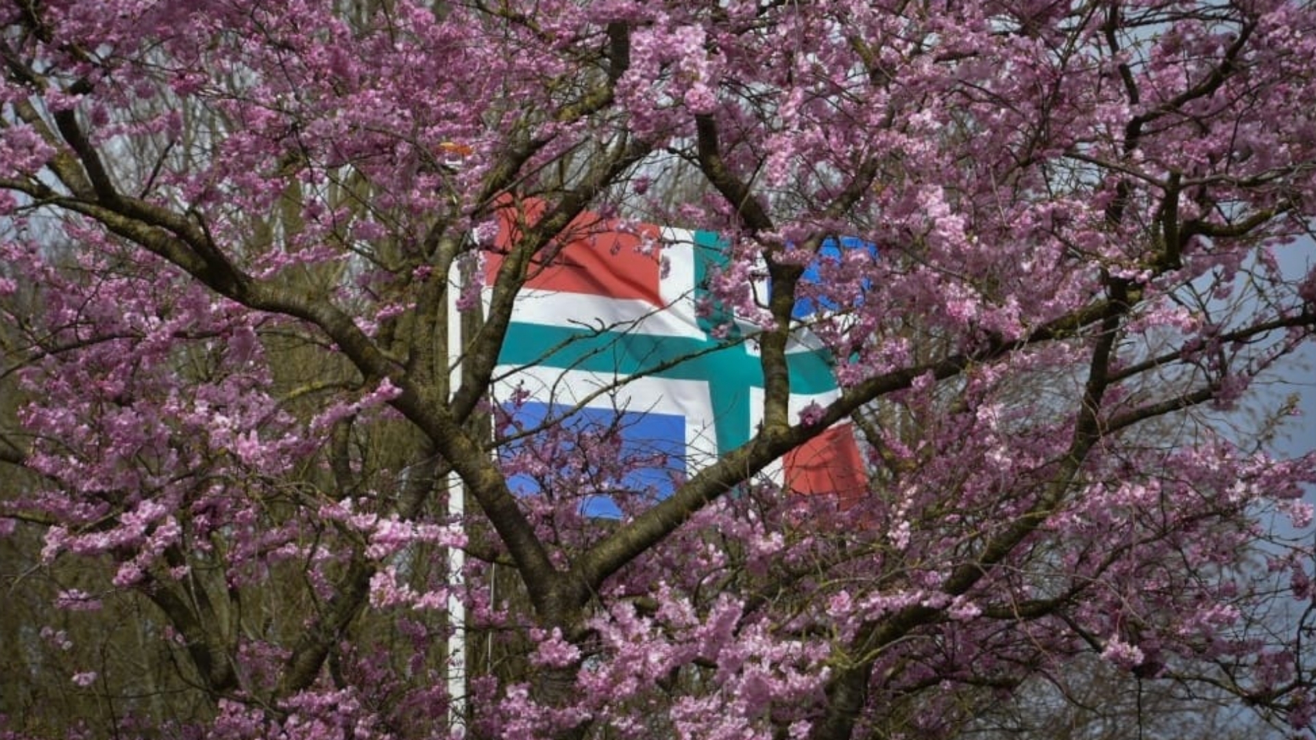 RUG zoekt zoveel mogelijk mensen die Groningse zinnen willen inspreken