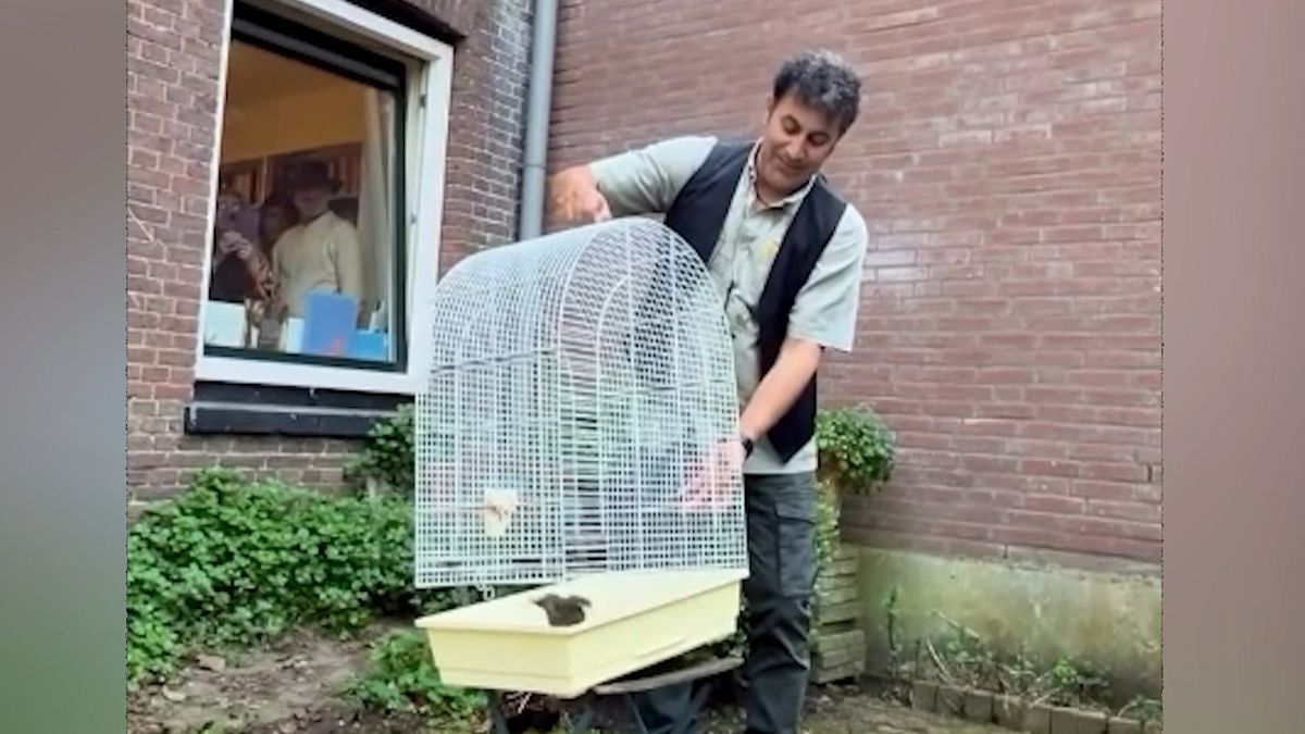 Mohammed Benzakour bevrijdt vogels op Bali.