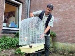 Mohammed Benzakour bevrijdt vogels op Bali.