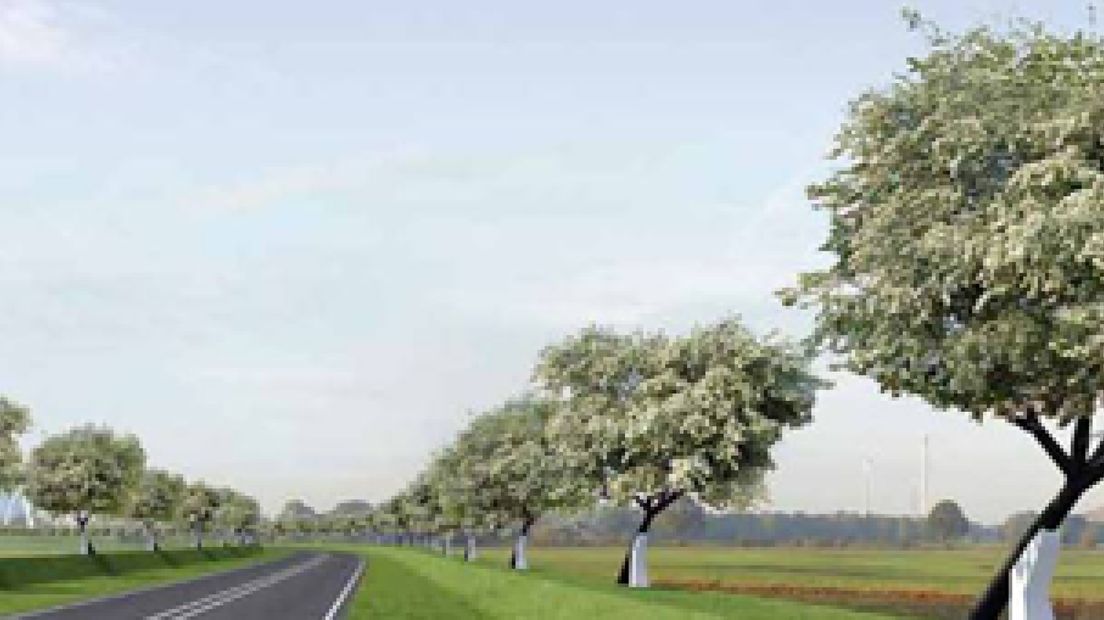 De eerste scheve bomen worden donderdag geplant langs de nieuwe rondweg N348 bij Zutphen.
