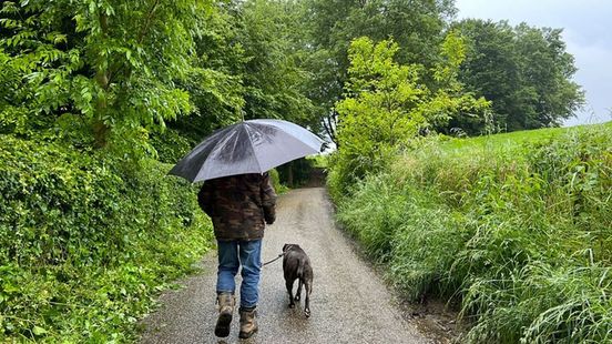 Einde aan de hitte: regenbuien trekken over de provincie Home
