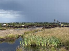 Veendammen moeten het Fochteloërveen in Veenhuizen genezen