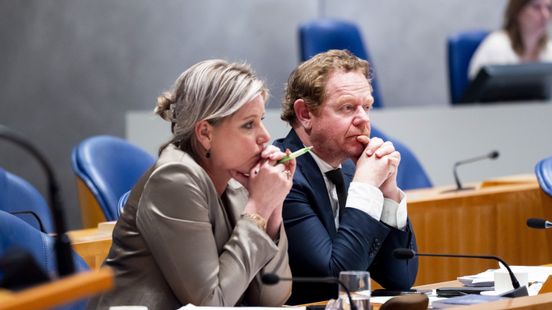 Letschert onder vuur om aanpak pro-Palestinaprotest op Universiteit Maastricht Home