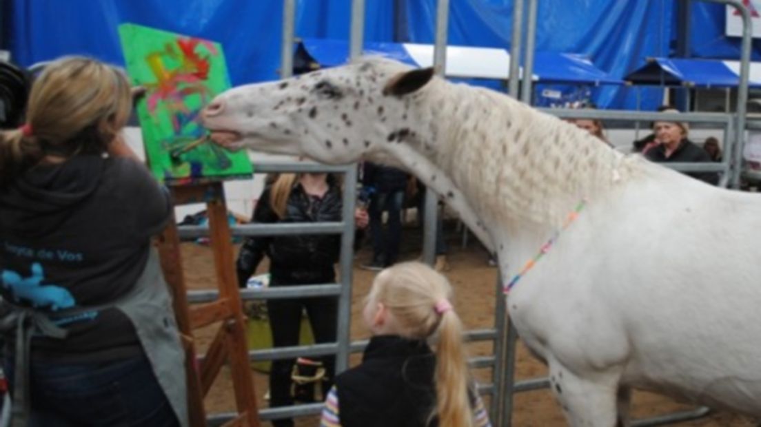 Indy het schilderende paard