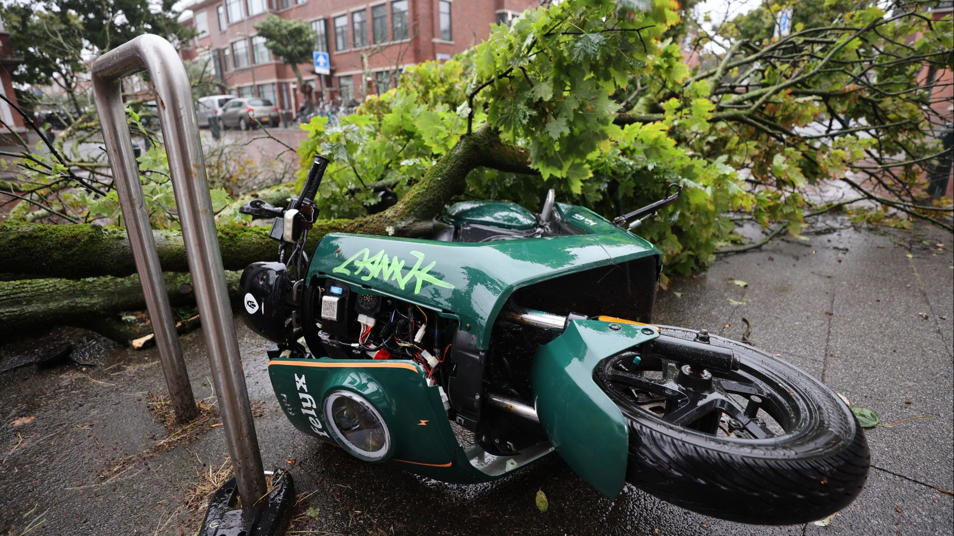 Zware Windstoten En Regen: Schademeldingen En Haperend Openbaar Vervoer ...