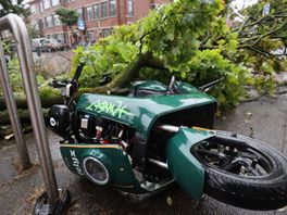 Schade na storm Poly valt mee, veel meldingen van omgevallen bomen