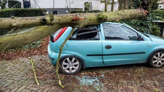 Boom plet auto • gewonden bij aanrijding. Boom plet auto • gewonden bij aanrijding.