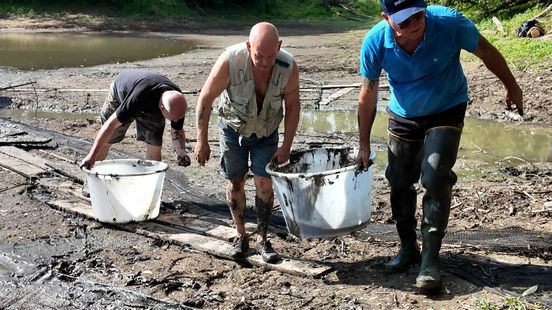 'Vissen happen naar zuurstof': vrijwilligers redden benauwde vissen