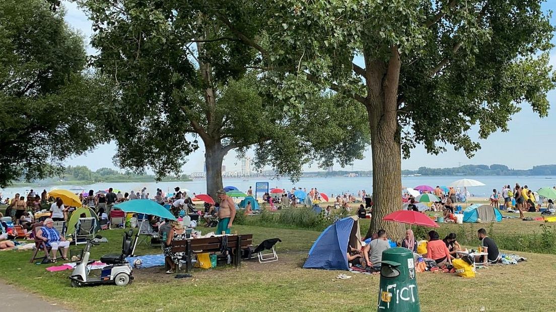 Zomerse zaterdag bij Zevenhuizerplas | Foto via Twitter: Raoul Verwey