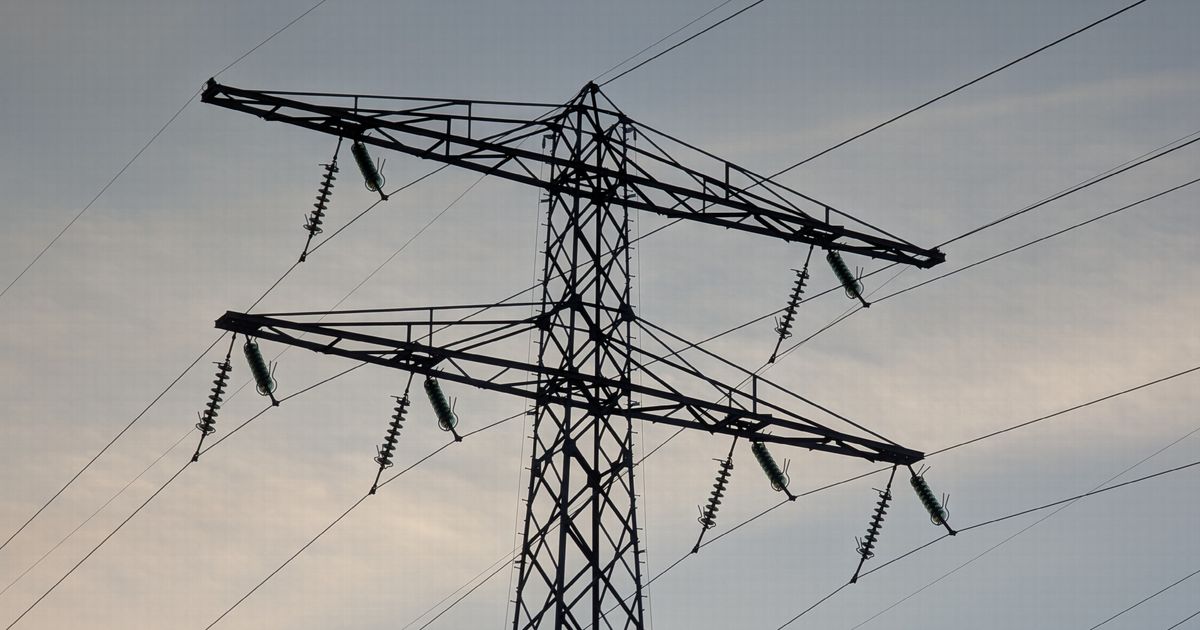 Dutch grid congestion halts industrial expansion in Netherlands