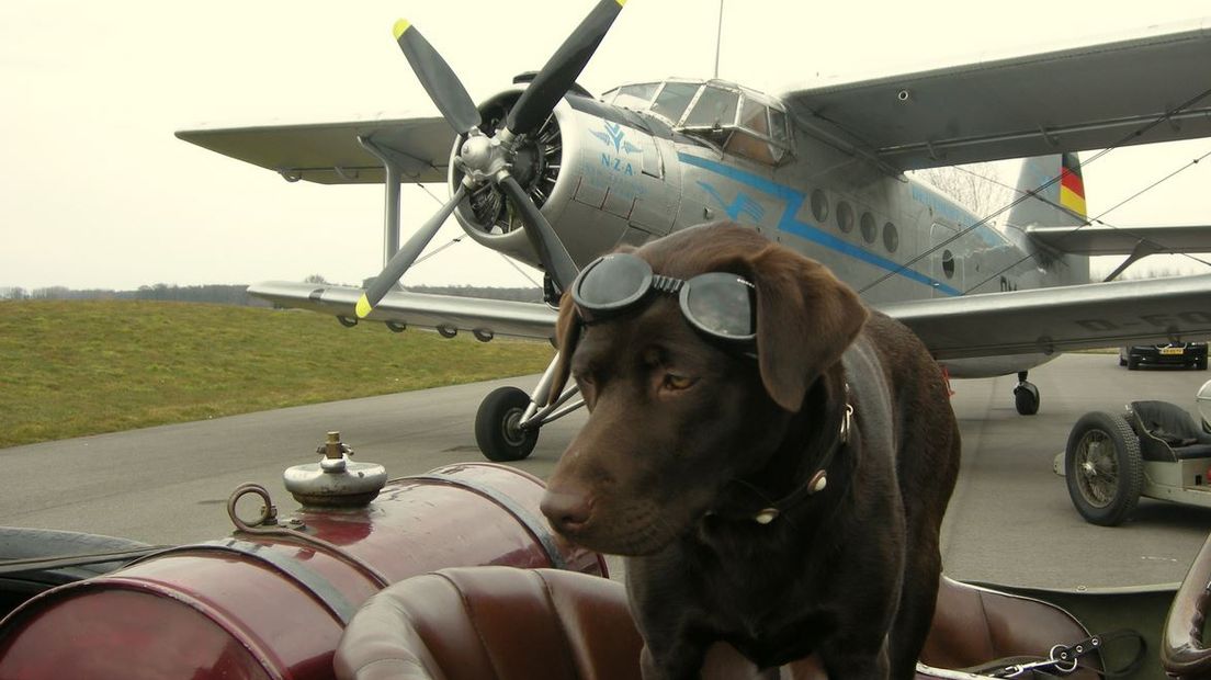 Stoere mannen, ronkende motoren en helmen en brillen. Vliegveld Teuge is vandaag weer het strijdtoneel van klassieke auto's en historische vliegtuigen die het tegen elkaar opnemen.