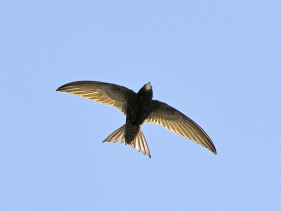 Trek eropuit in de Drentse natuur