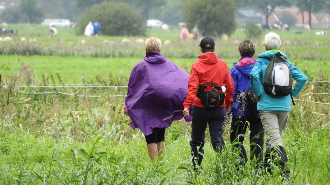 Enkele wandelaars tijdens de Fivelstadtocht van 2017.