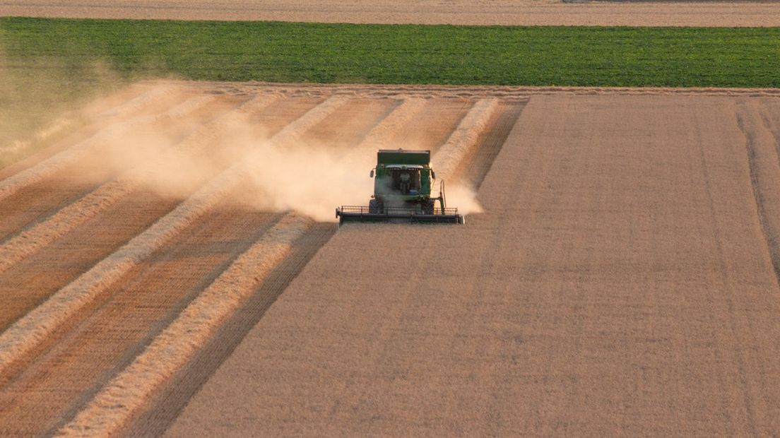 Oogst ergens in Zuid-Beveland