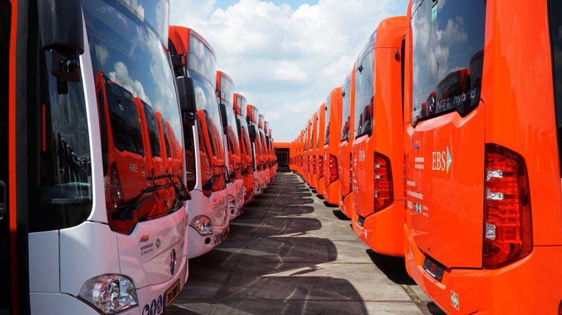 De nieuwe bussen van EBS.
