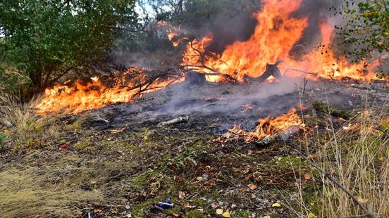 Vuurwerkresten aangetroffen na natuurbrand in Weert Home