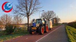 Arnhem start bestrijding eikenprocessierups