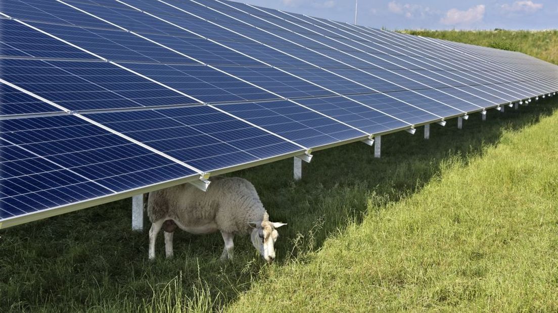 Zonneparken zijn in trek bij energiecoöperaties in Gelderland