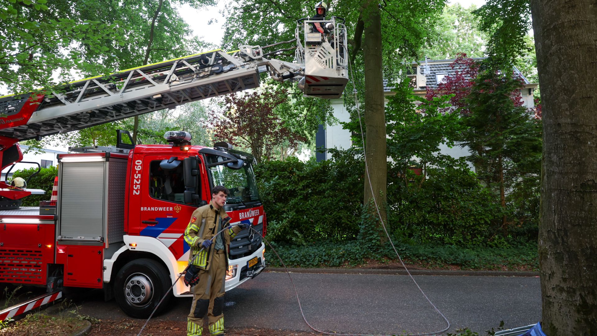 Grote beuk dreigt op woning te vallen
