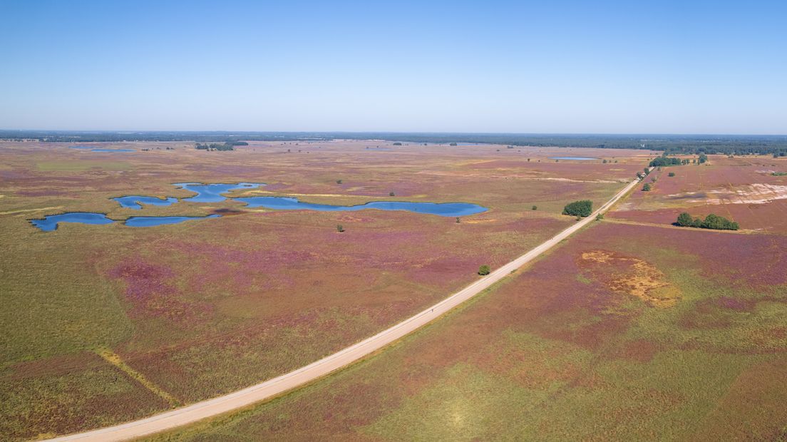 Nationaal park Dwingelderveld