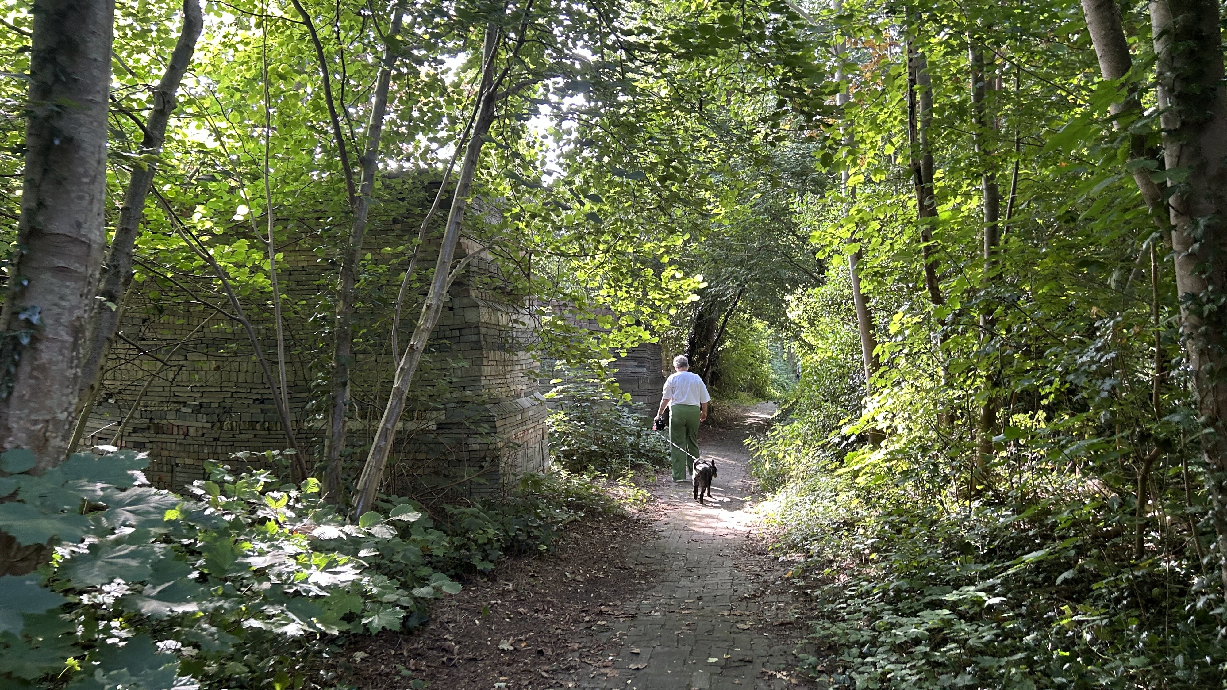 Fan gerslân ta ‘aventoerepark’: natuer is al desennia de baas yn dizze tún op It Hearrenfean