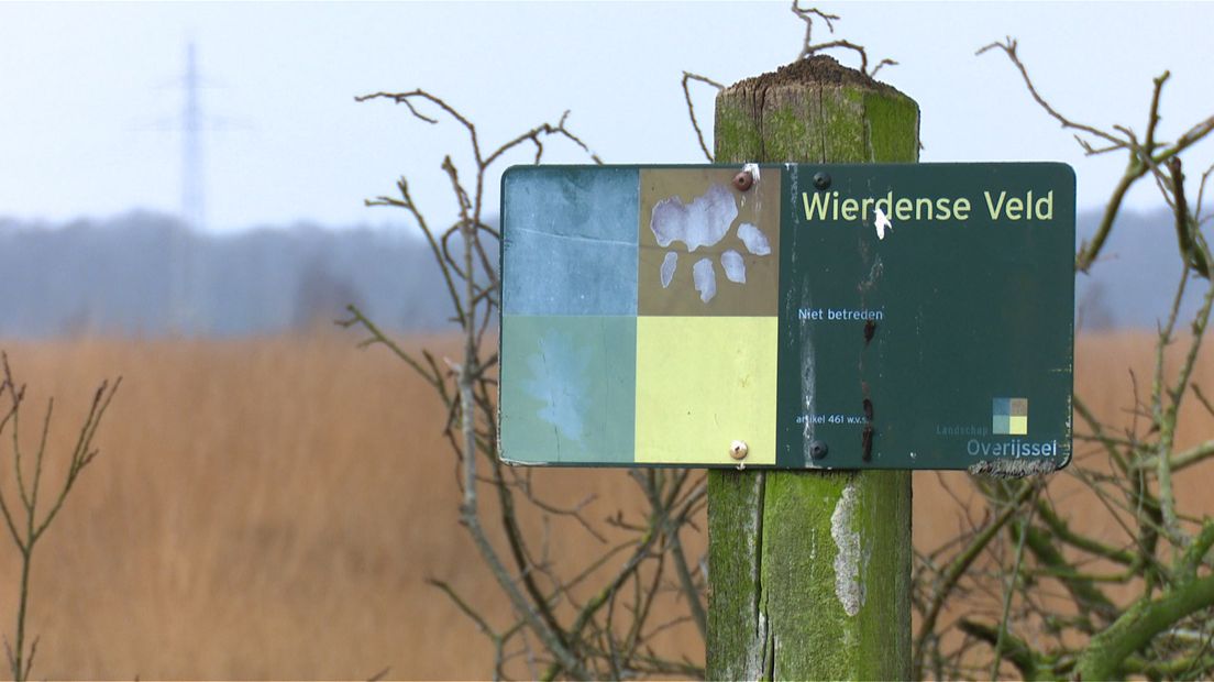 Mogelijk verliest het Wierdense Veld de Natura 2000-status