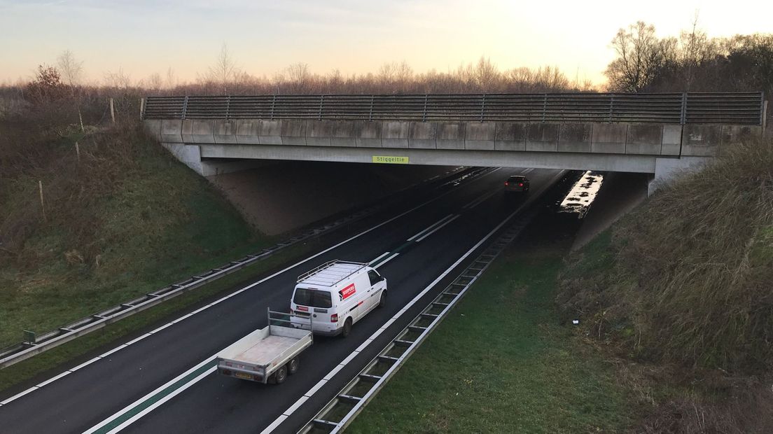 Naast dit Ecoduct wordt een fietsbrug gebouwd (Rechten: Serge Vinkenvleugel/RTV Drenthe)