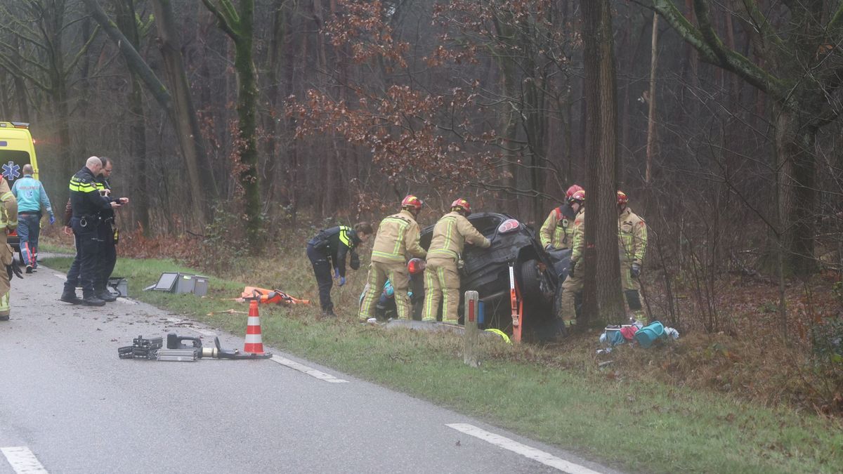 Bestuurder zwaargewond na botsing tegen boom in Merselo