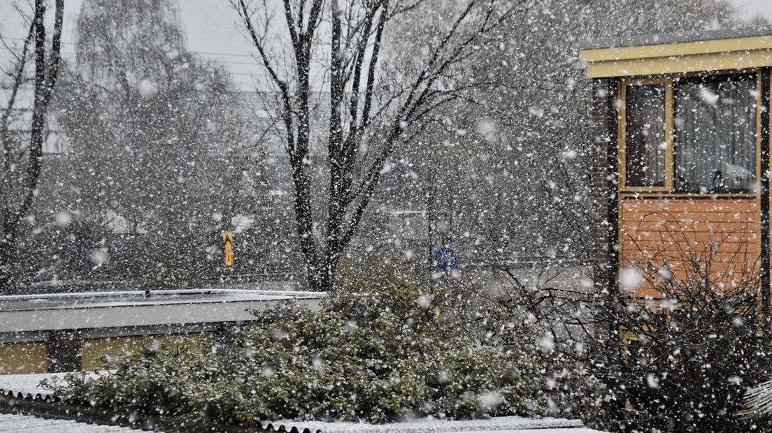 Harde sneeuwbui