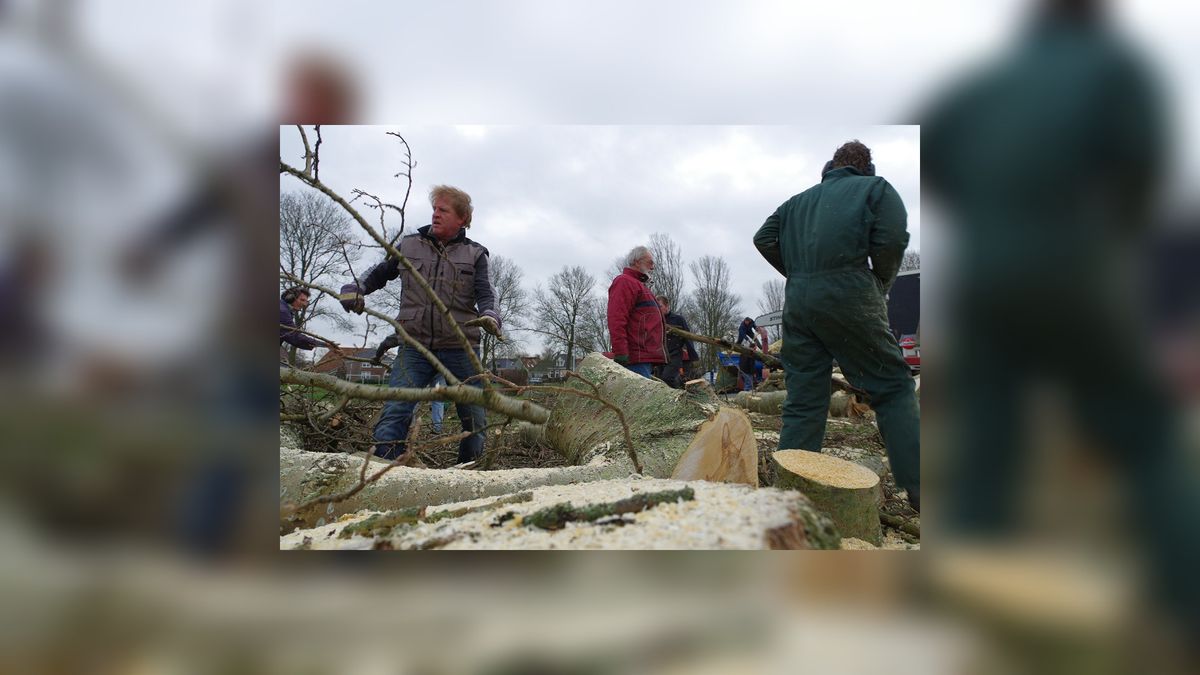 Inwoners Poppenwier maken kachelhout van bomen bij dorpshuis