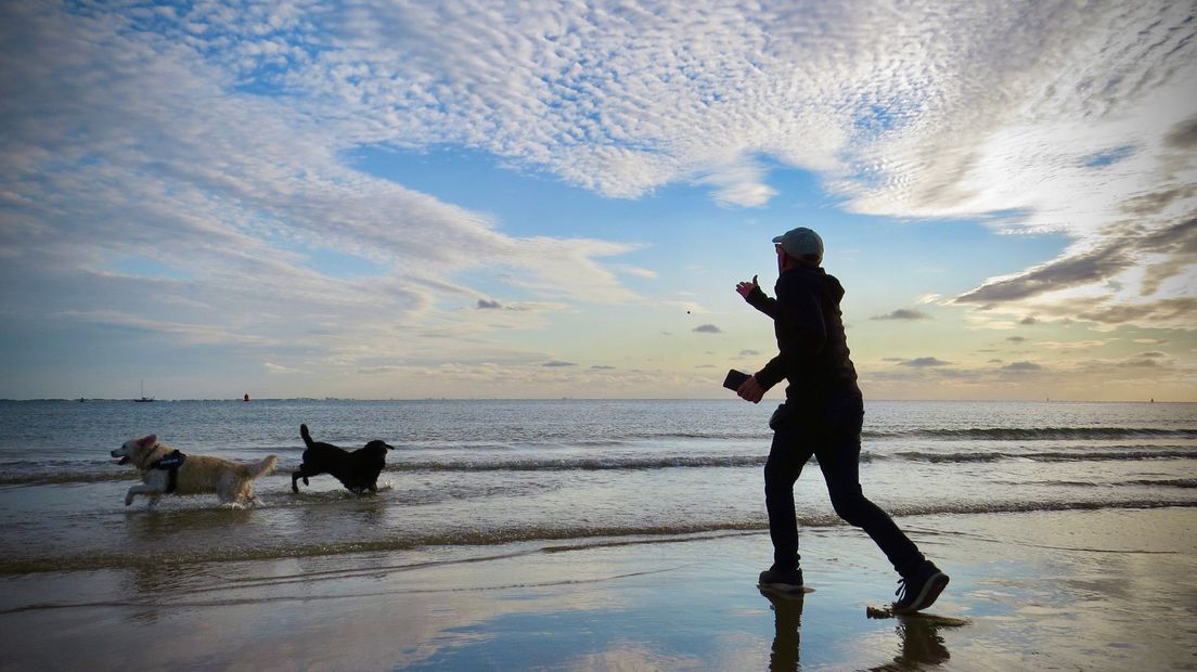 Plezier aan het strand in Vlissingen