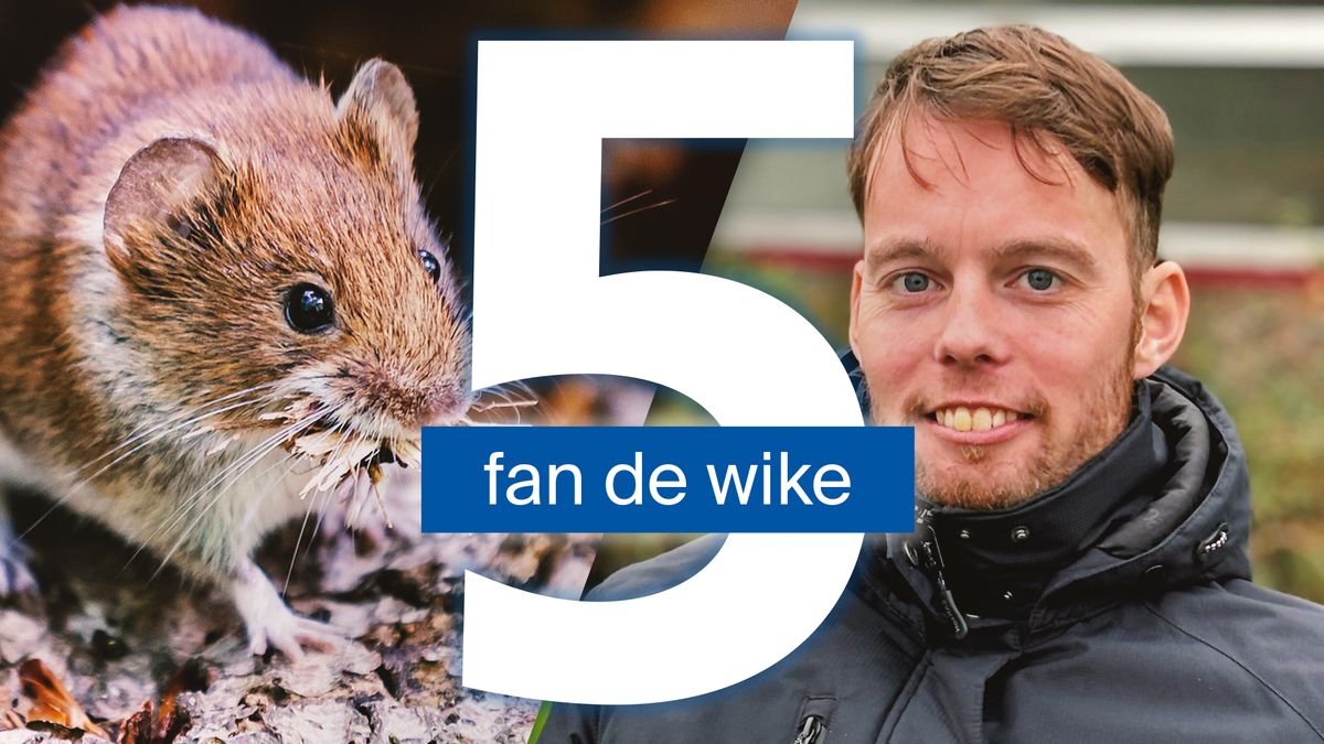 Jongeren met beperking vinden maar moeilijk een woonplek en zo houd je de muis buiten de deur