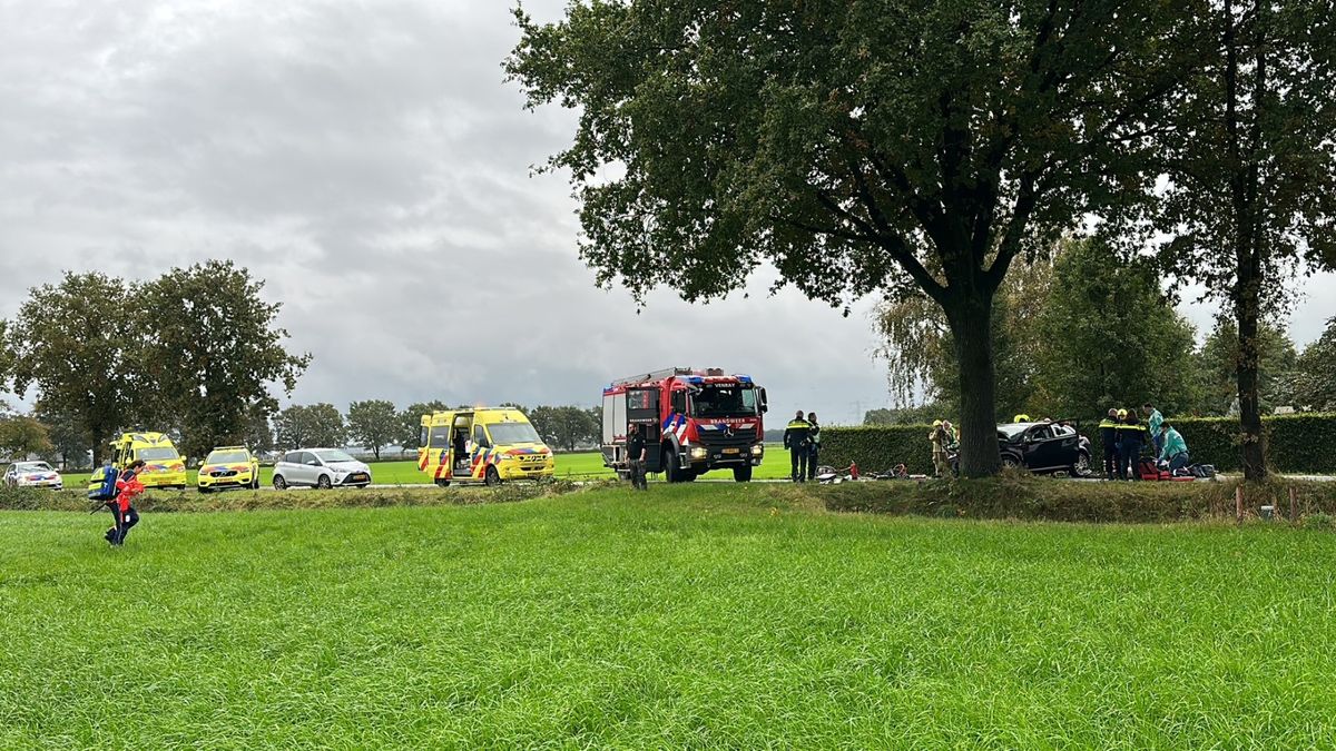 Auto botst tegen boom in Ysselsteyn: dode en zwaargewonde