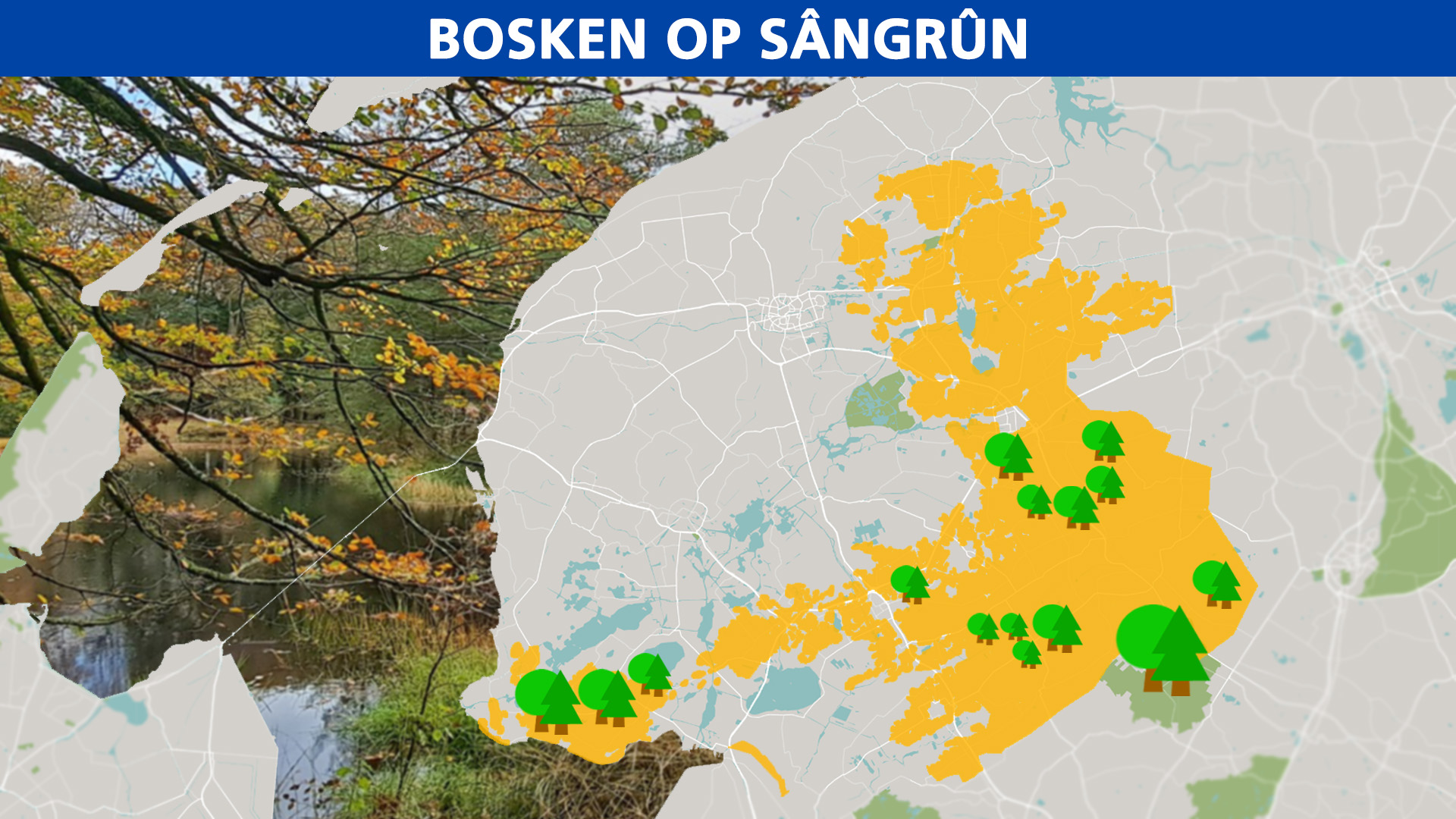 Bosken op sângrûn