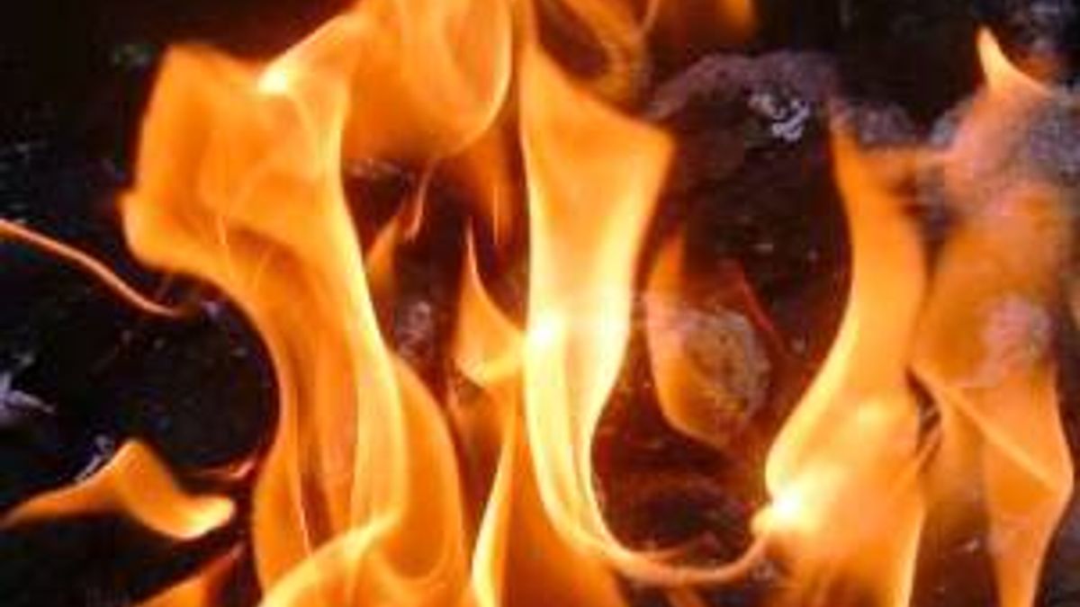 300 Varkens dood door brand in stal Grathem