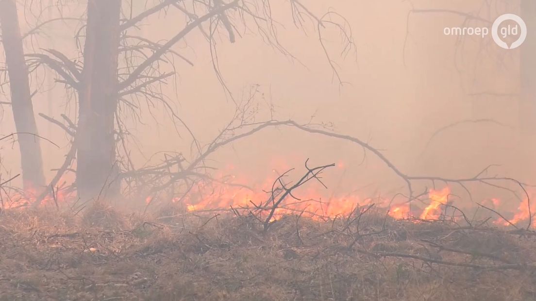 Het onderzoek naar de grote brand op de Arnhemse heide aan de noordzijde van de stad is nog in volle gang. Dat laat de Koninklijke Marechaussee desgevraagd weten.