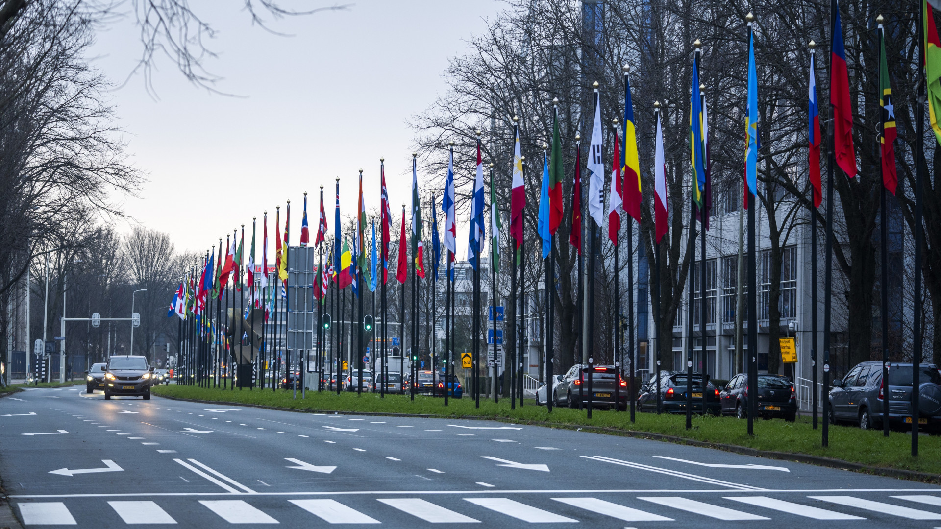 Veel mensen herkennen de Johan de Wittlaan aan de grote hoeveel vlaggen