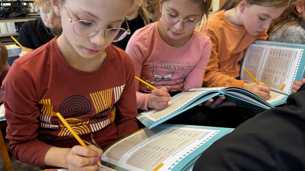 Meijel is apart dorp: dialectles over 11de van de 11de zo gek nog niet