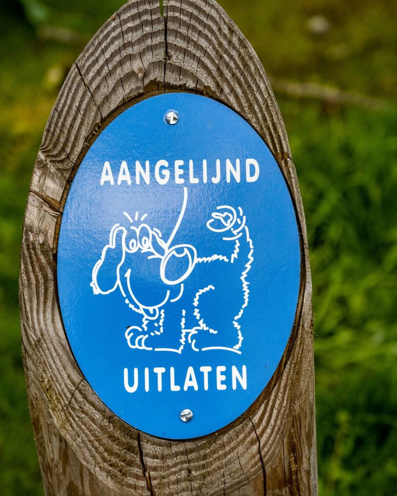 Wat is er dit weekend te doen in Drenthe? - RTV Drenthe